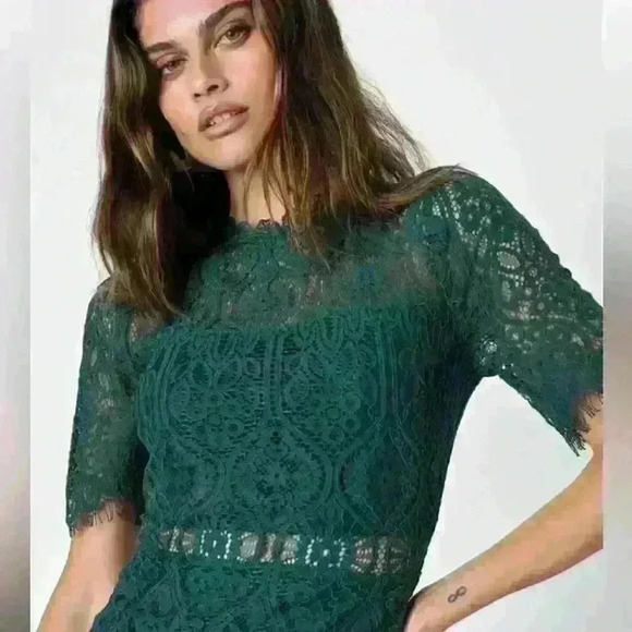 Remarkable Forest Green Sheer Lace Short Sleeve Mini Dress Size Small NWT - Picture 3 of 8